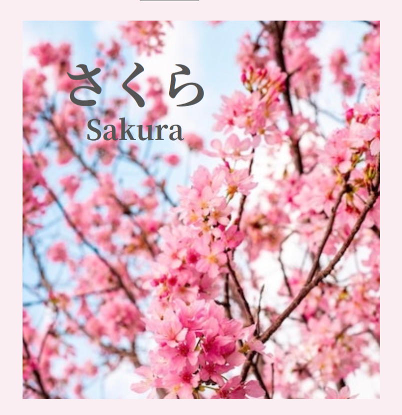 Visuel du récital Sakura